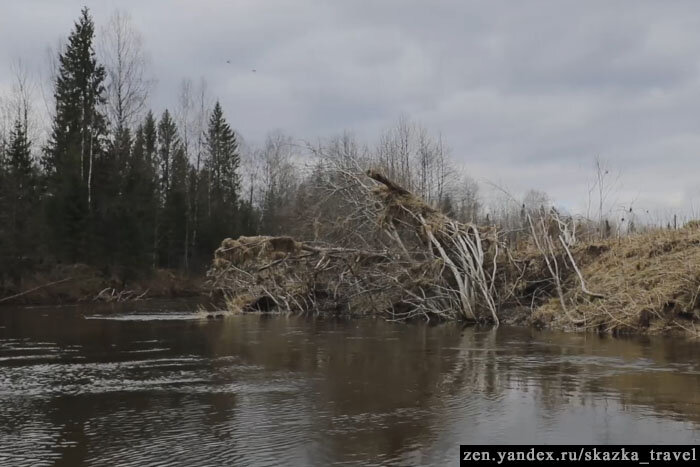 Вот сколько было воды!