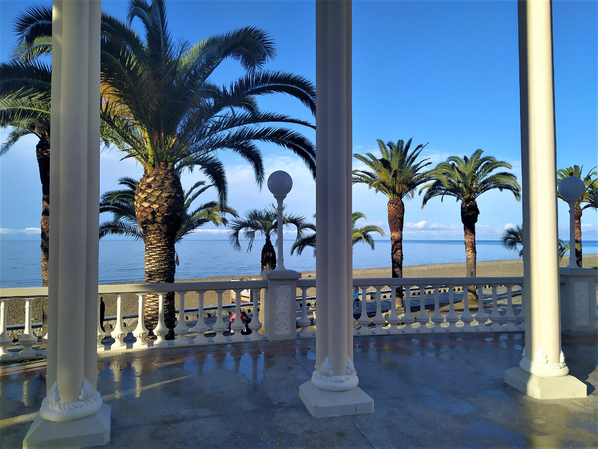 Март - мартом, а пальмы никто не отменял))