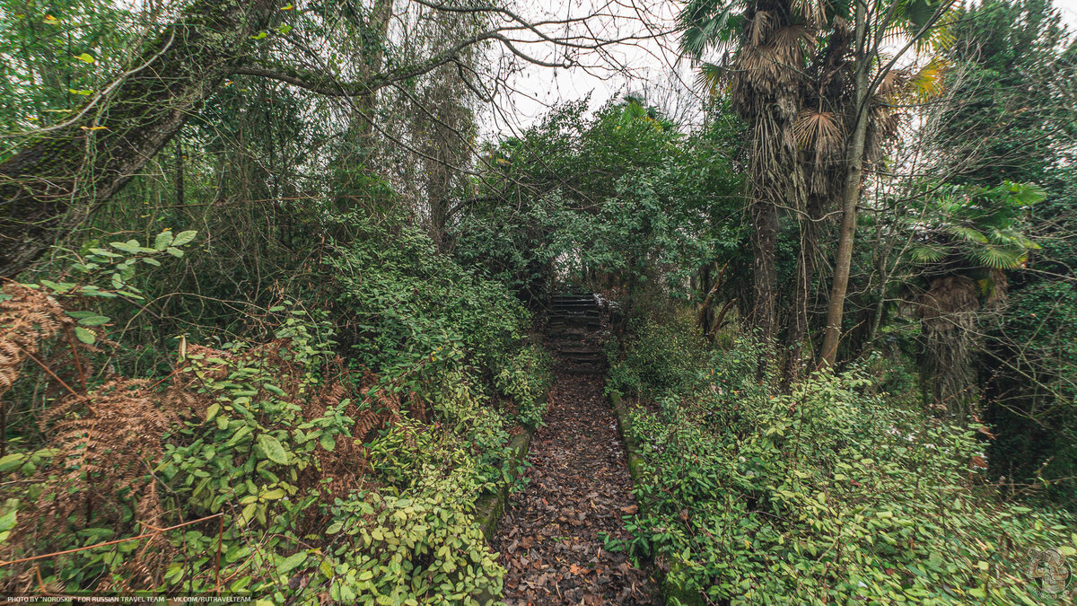 Остатки декоративных садов и тропинок