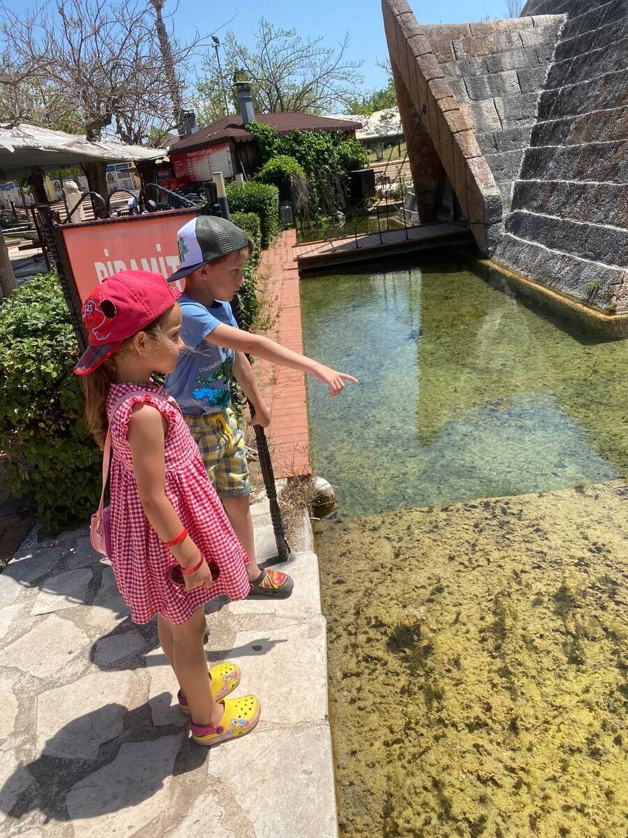 Дети ждут черепашек