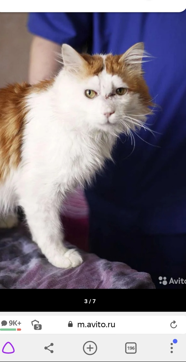 Скрин с телефона