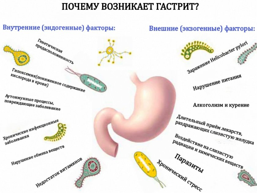 Растительное масло при гастрите