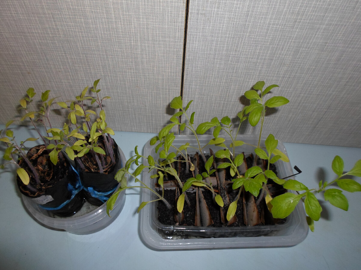 Всё очевидно