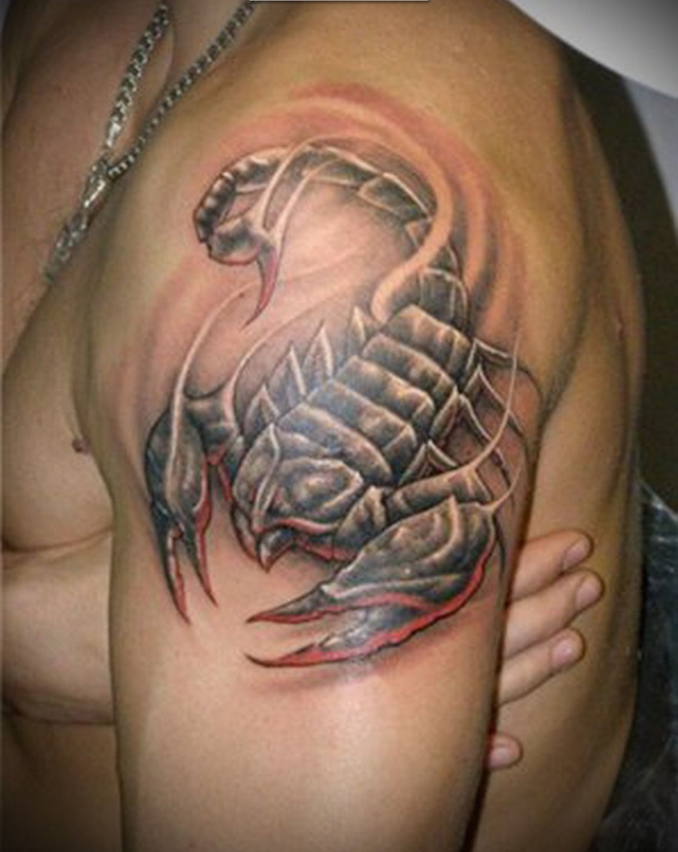 тату скорпион - женские тату скорпион - тату скорпион для девушек | Тату, Тату на затылке, Скорпион