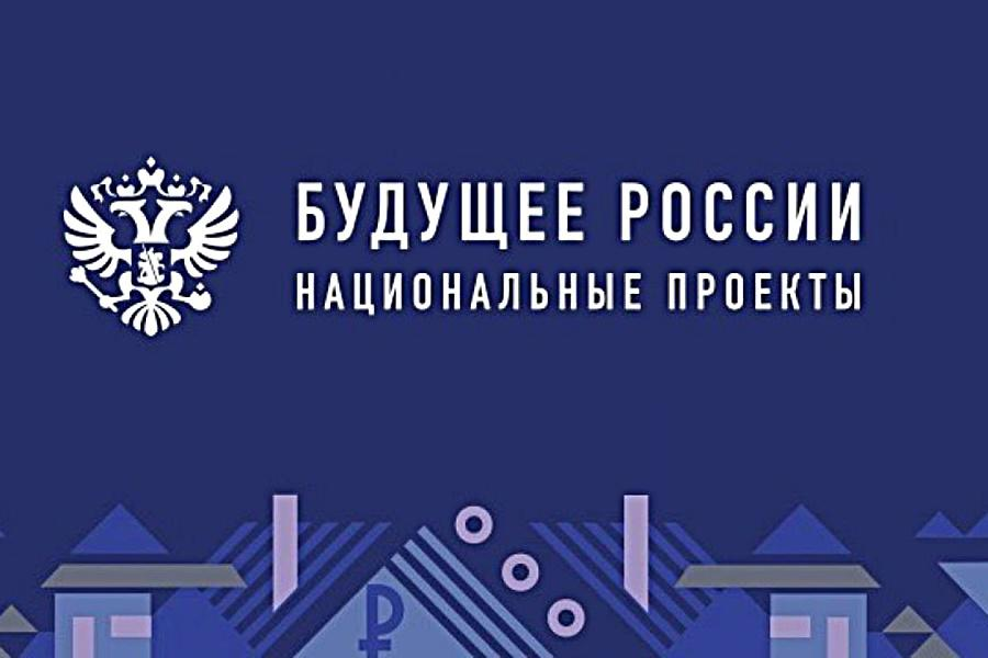 Национальные проекты картинки