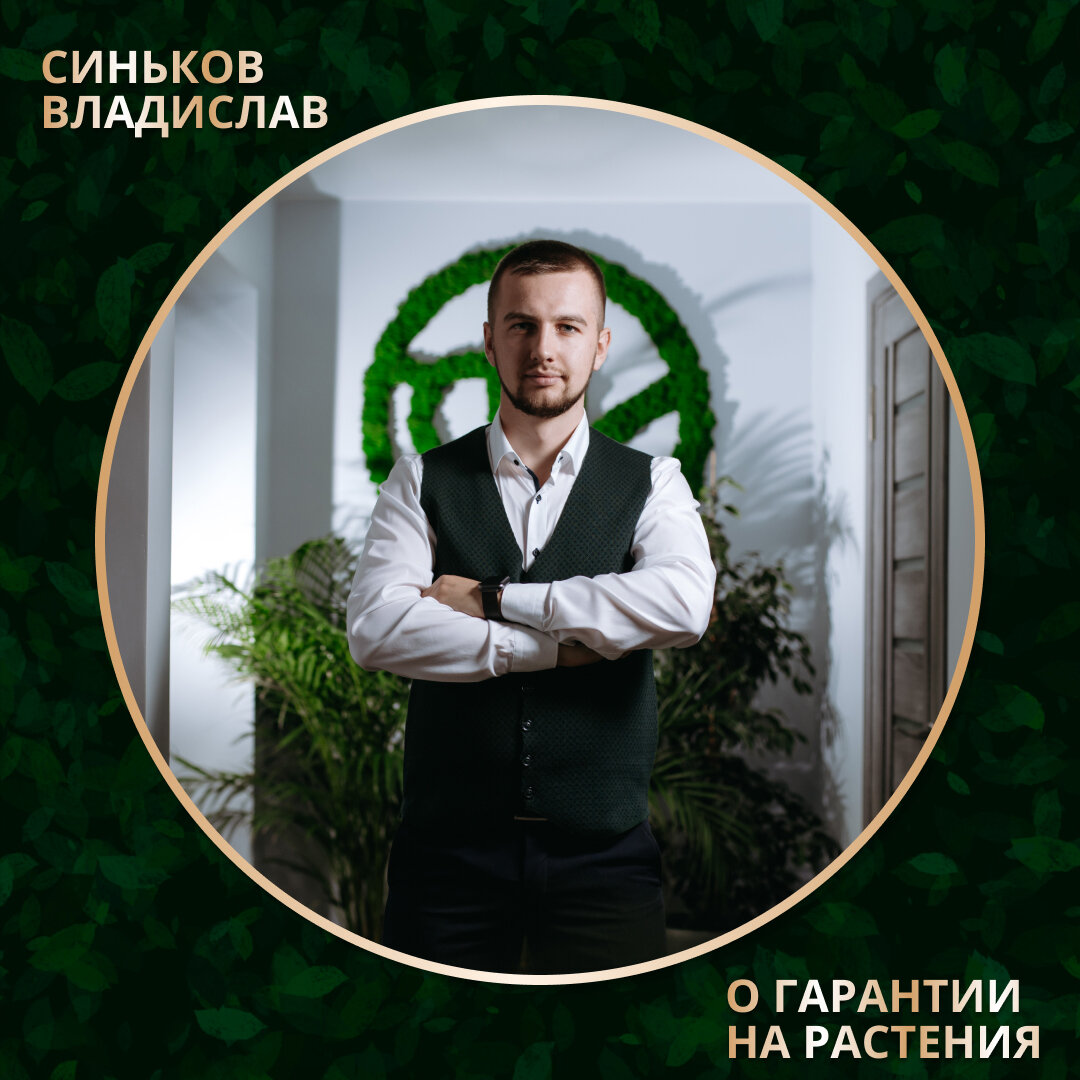 Синьков Владислав