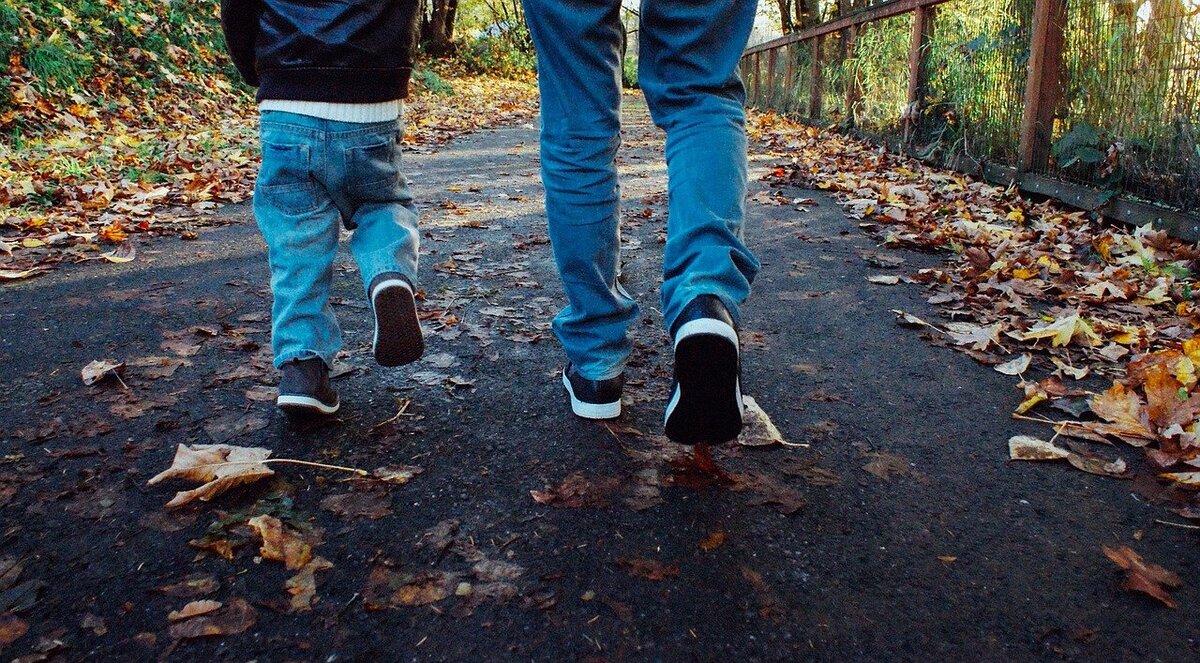 Источник фото: https://pixabay.com/images/id-909510/