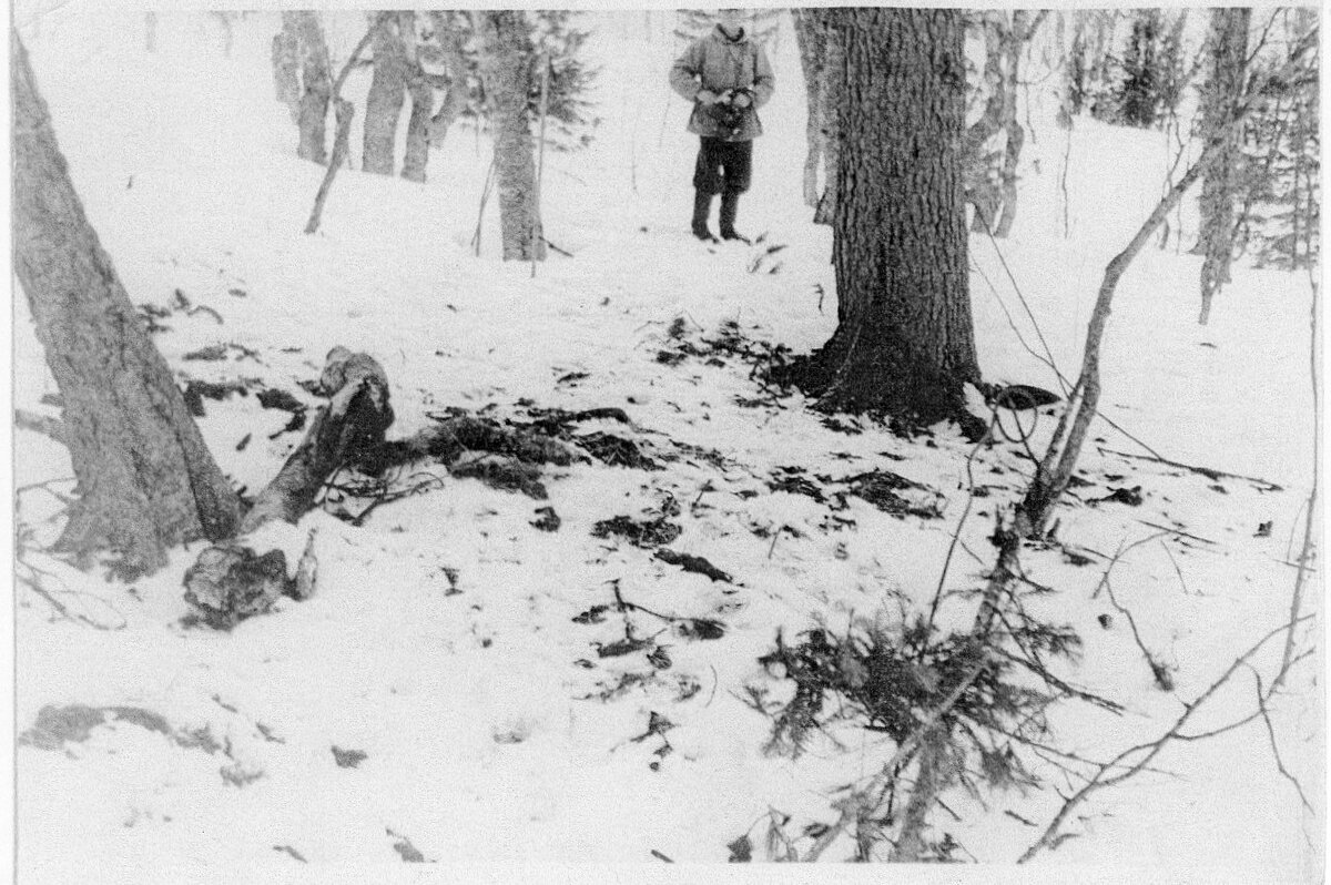 Фото из открытого доступа.