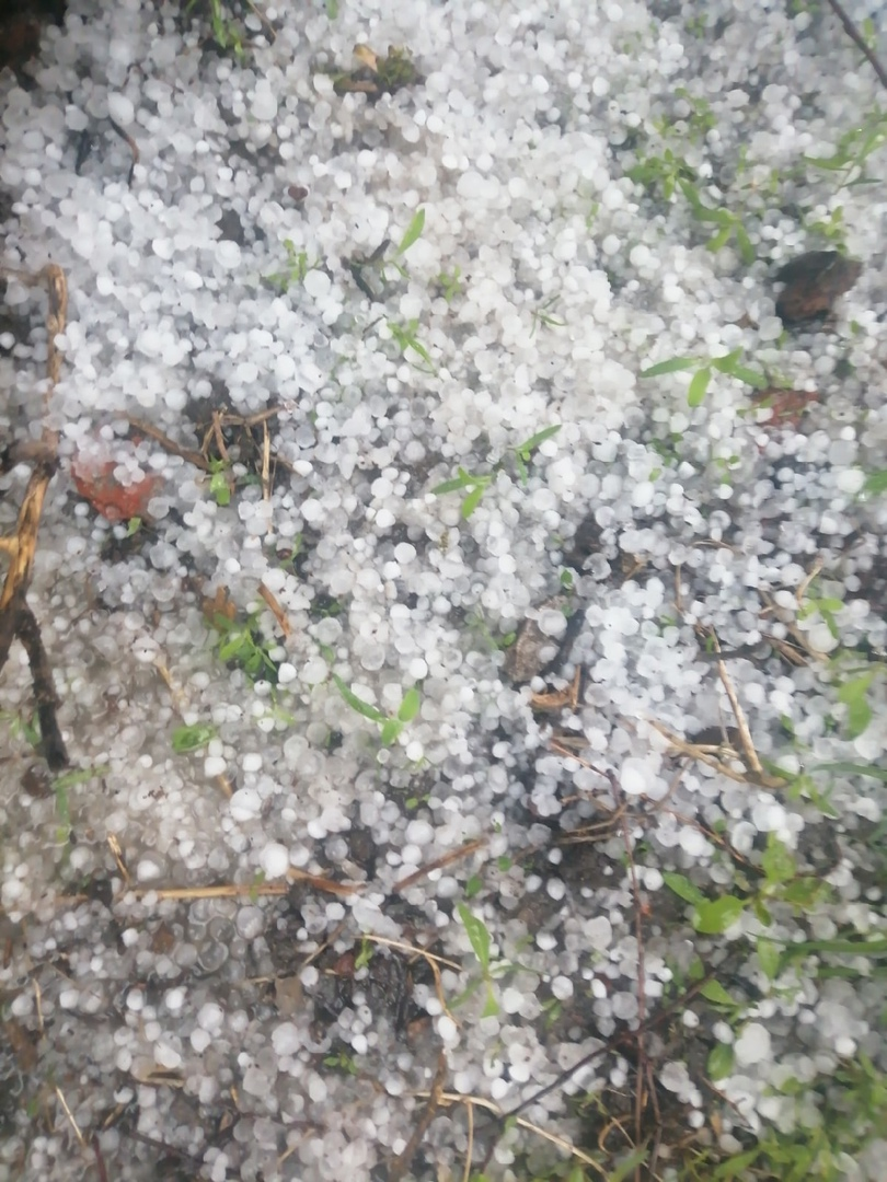 Градины на подстилающей поверхности. Курск, 14.05.2021. Источник: https://vk.com/k46