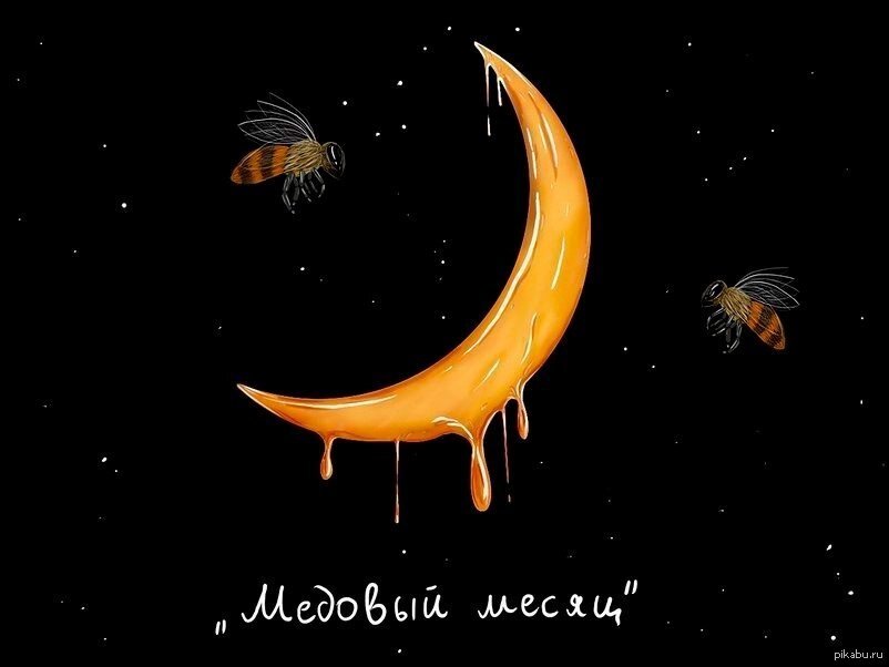 Яндекс.Картинки