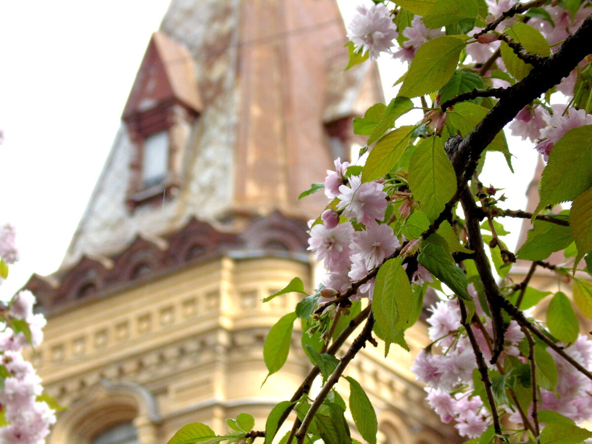 Фото автора