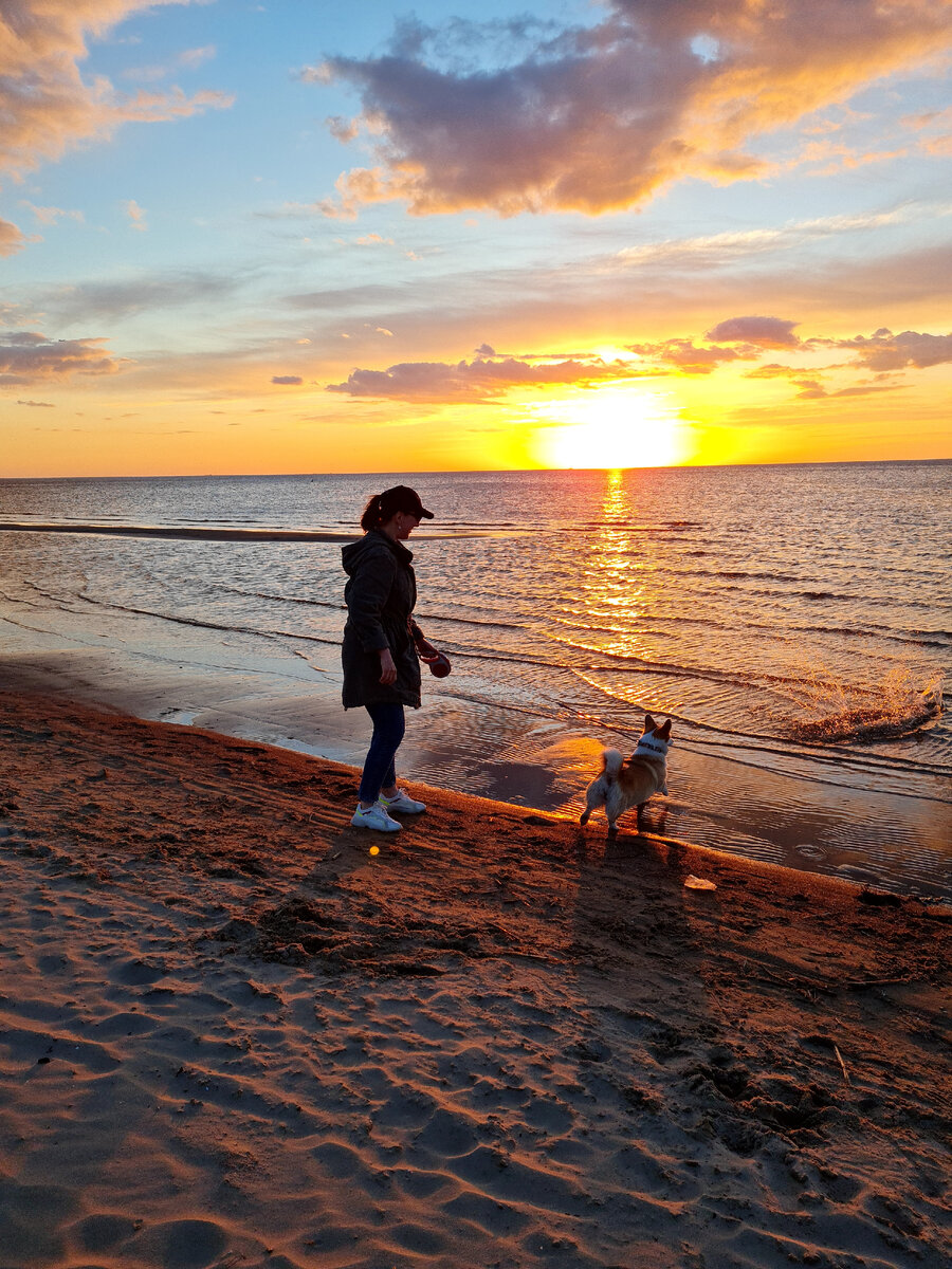 И тут хвост во всей красе