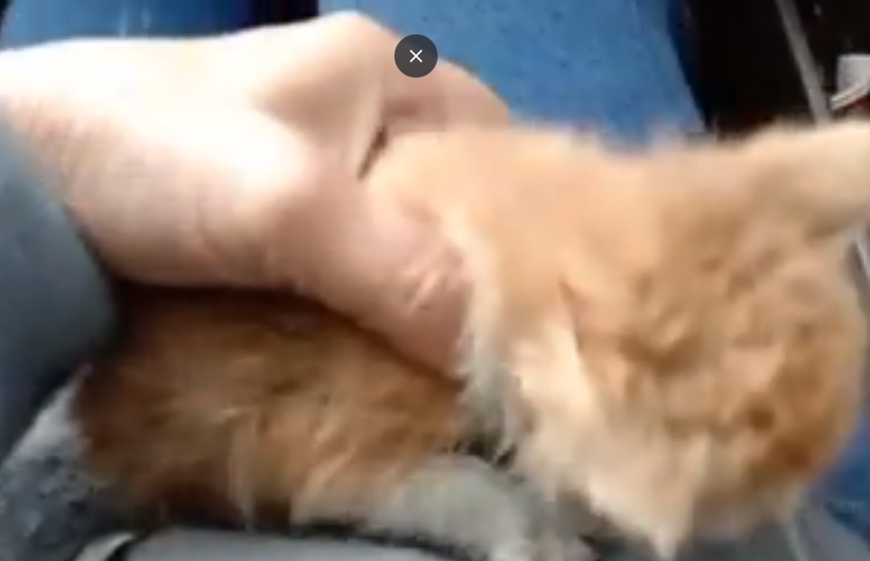 ВОТ ЗДЕСЬ Я ТАКИМ ОКАЗАЛСЯ В МАШИНЕ. Листайте . Там Семь фото.