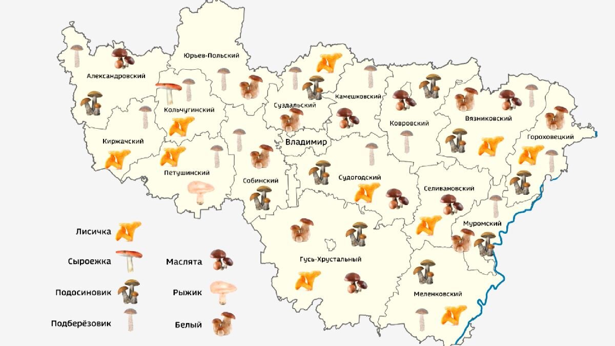 Карта с грибами - 82 фото