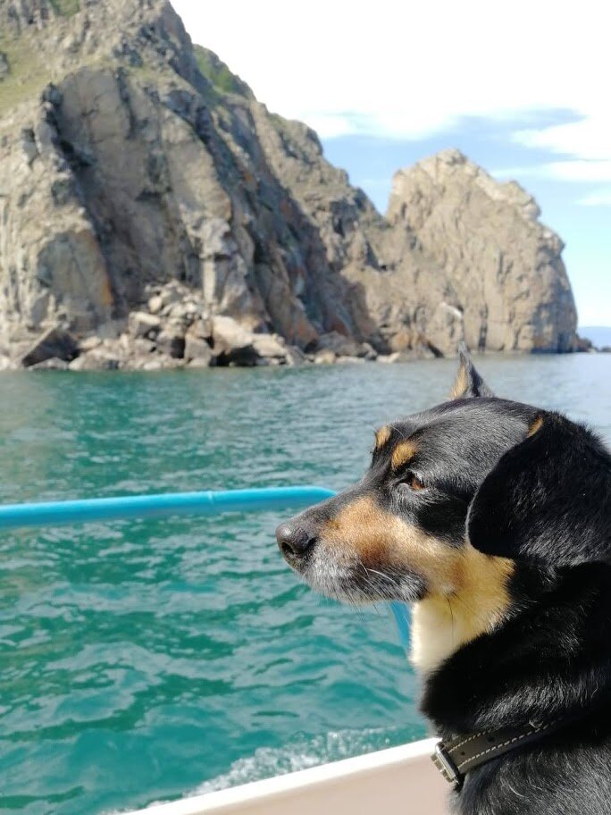 Знакомьтесь, Люк!