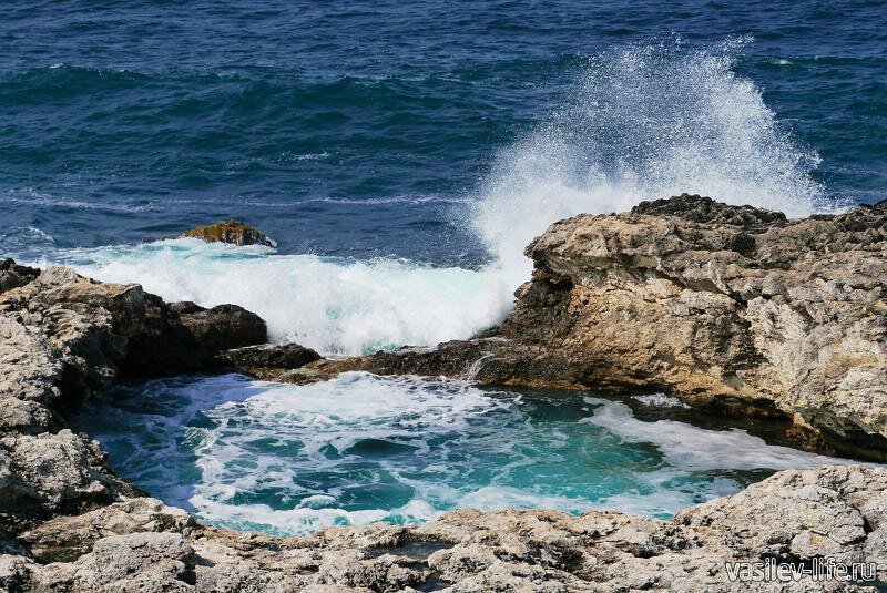 примерно так чаша выглядит во время шторма