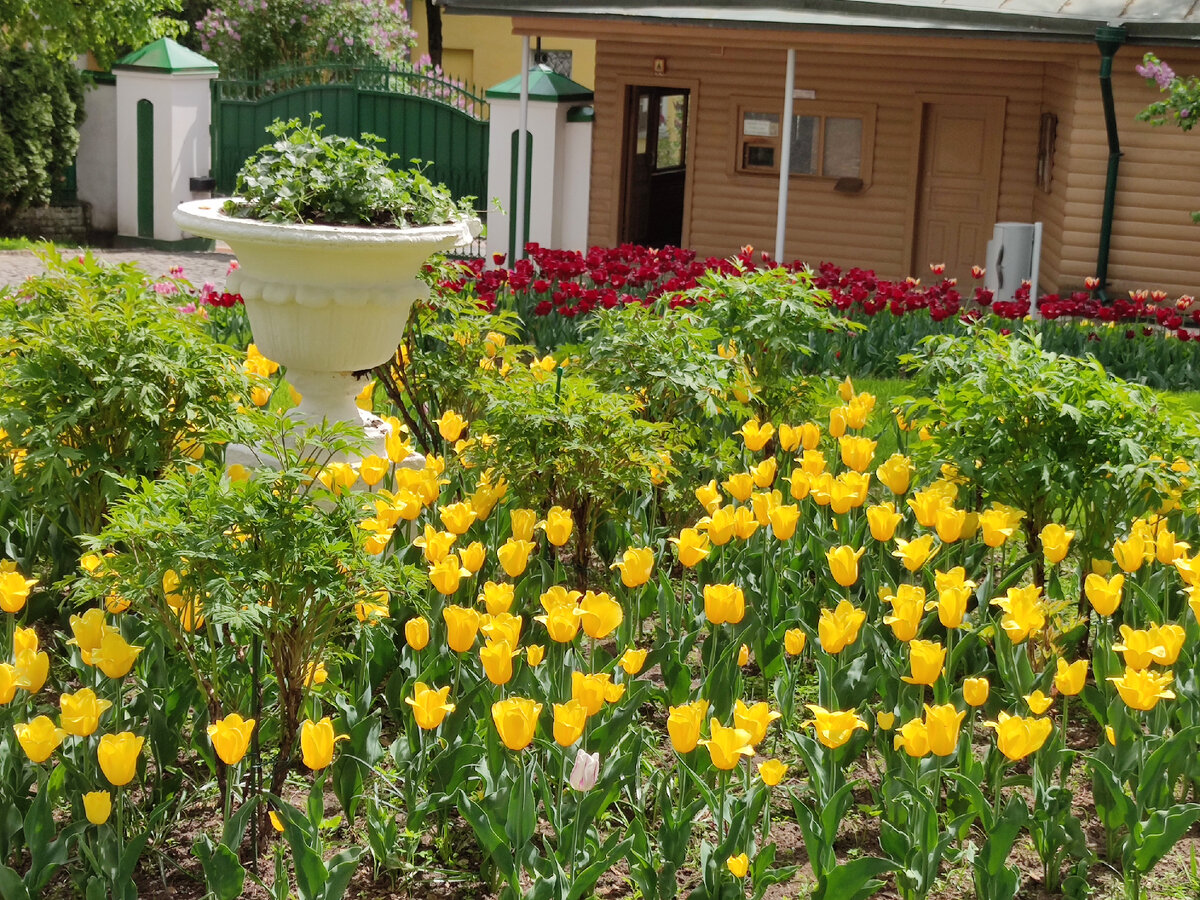 Фото автора