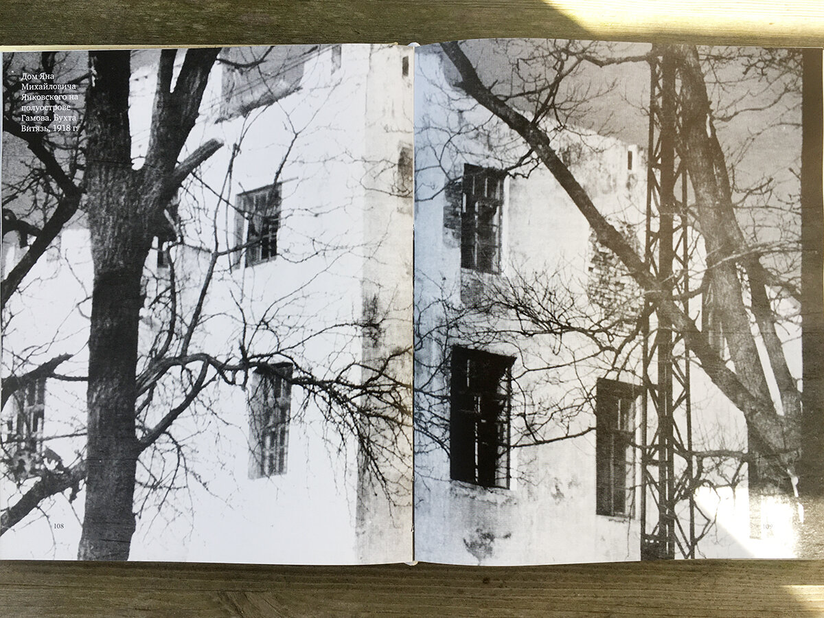Дом Янковского в 1918 году, фото из книги. Листайте галерею, там другие интересные фотографии