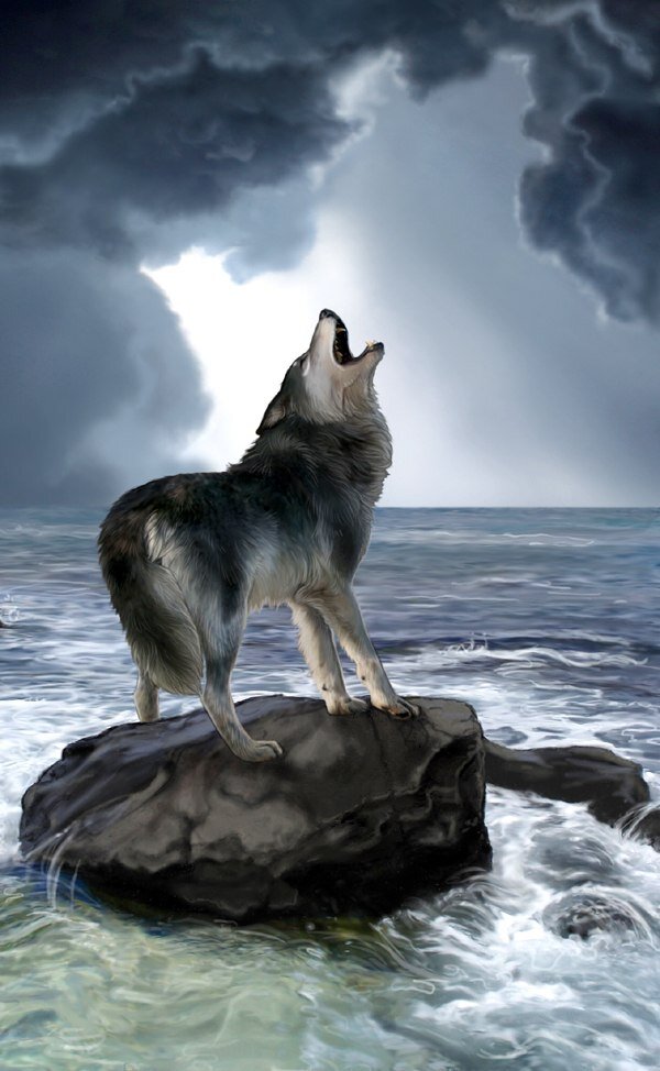 Фото из интернета