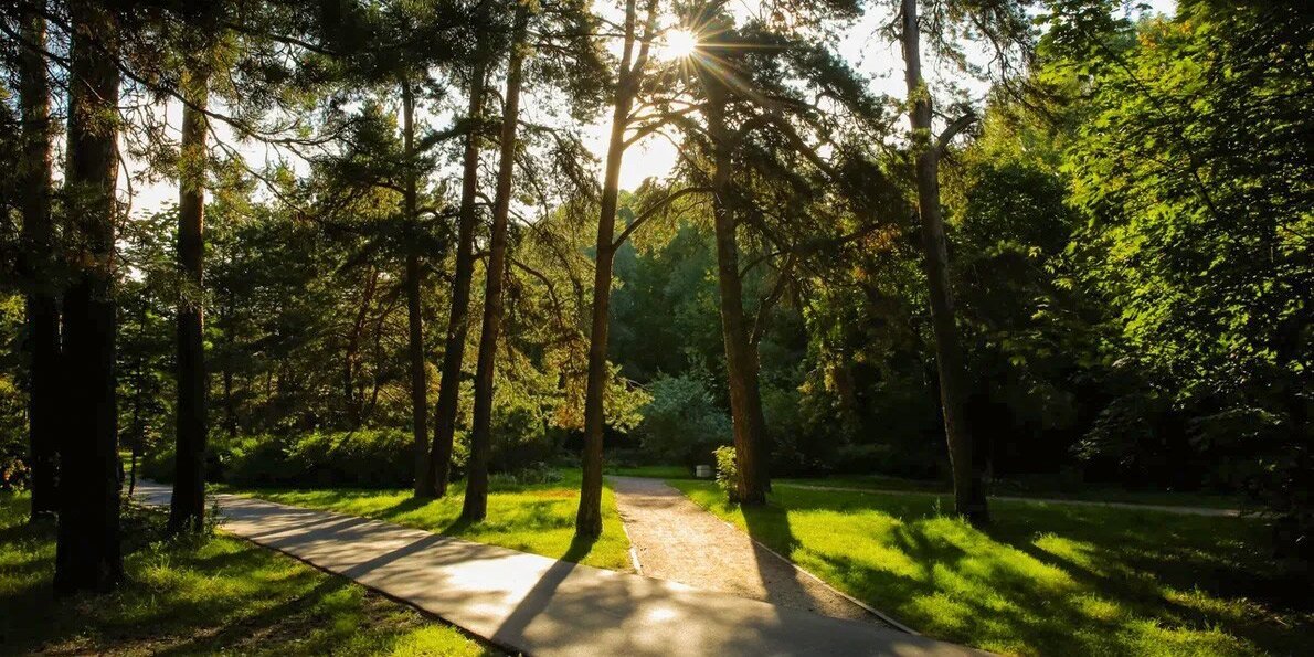 Изображение https://www.mos.ru/