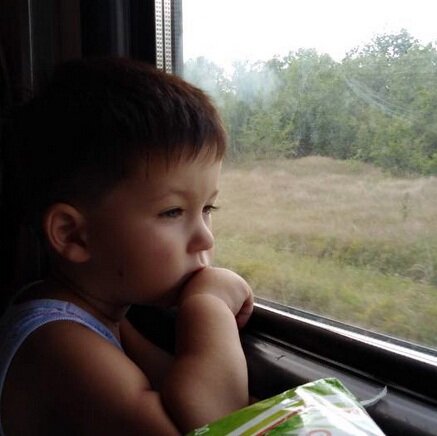 Внук Миша в поезде. А за окном так много интересного...