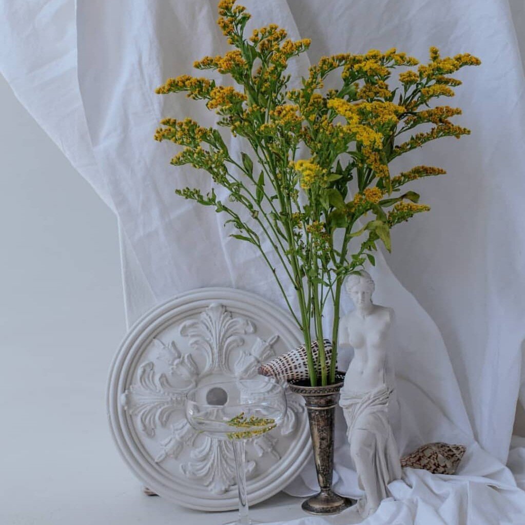 Самарский гипсовый комбинат