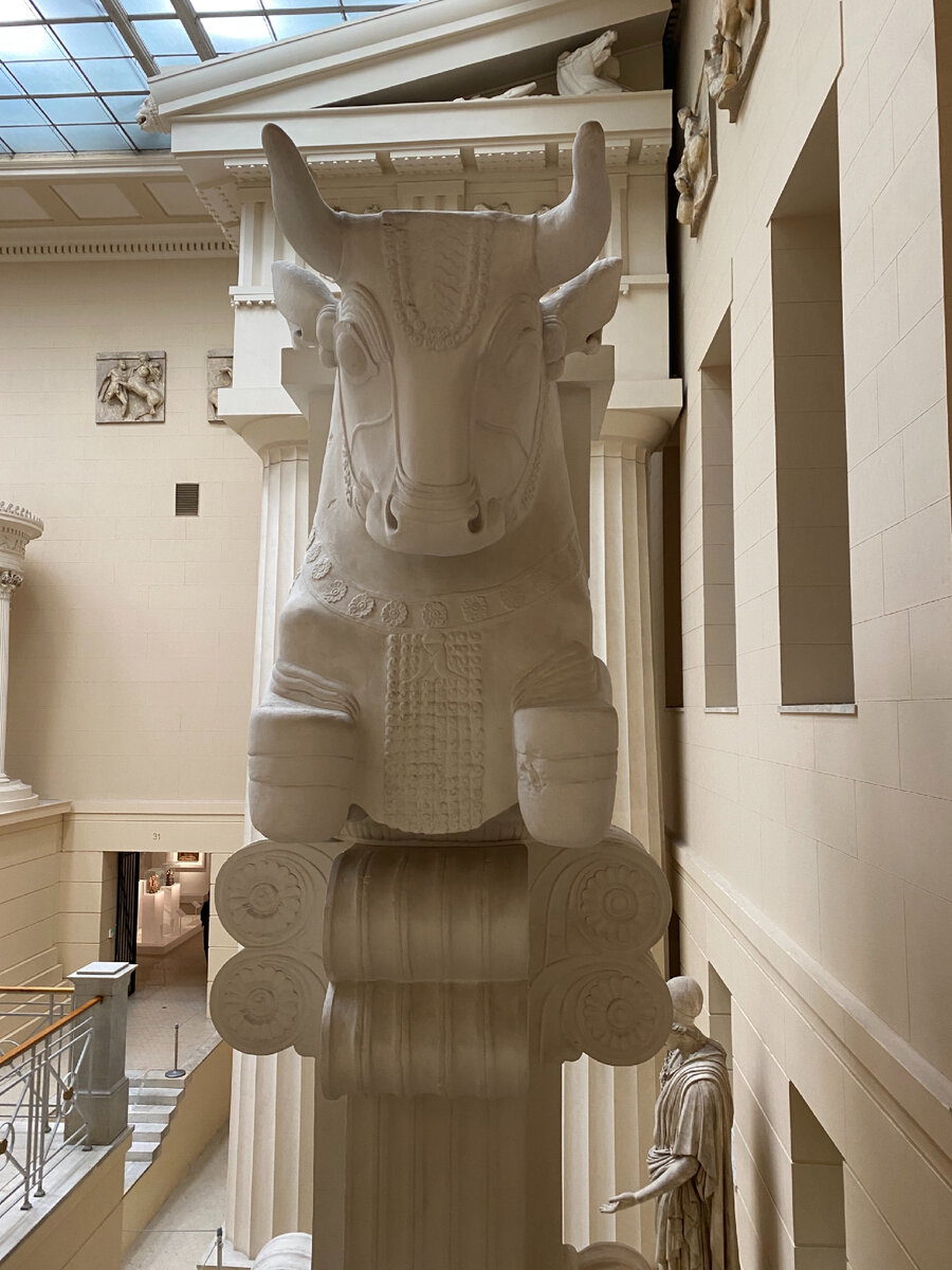 Фото автора. Бычья капитель дворца Дария (слепок, оригинал находится в Лувре)