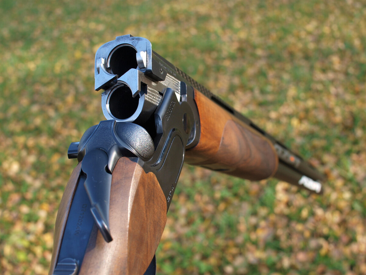 Фото: Александр Гусев