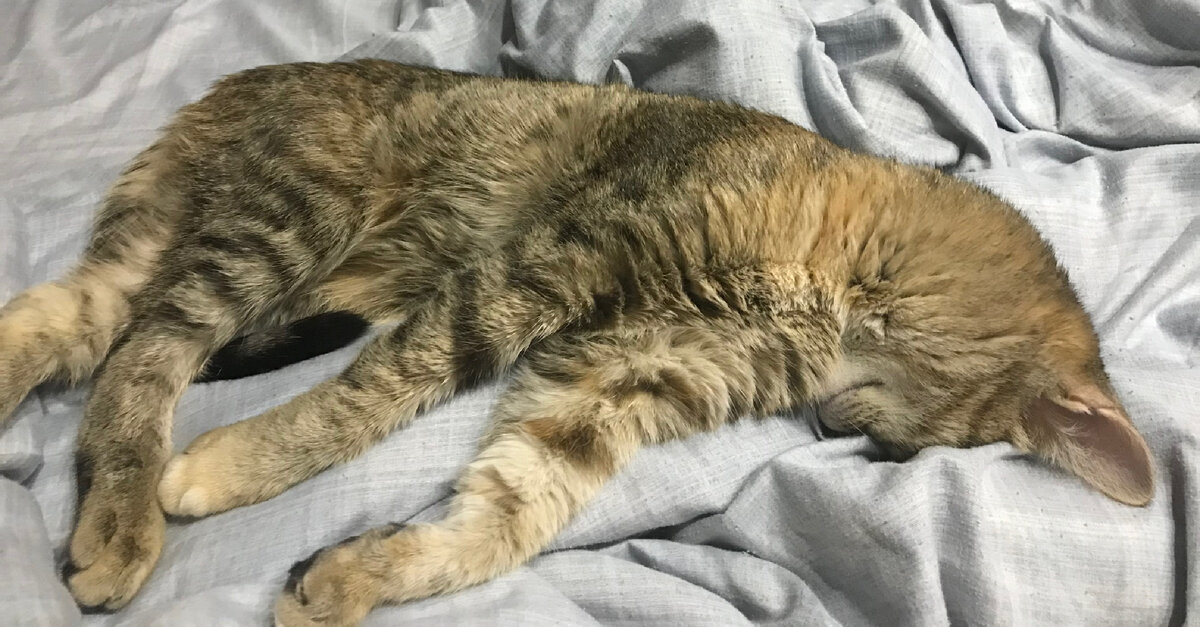 Устала немного