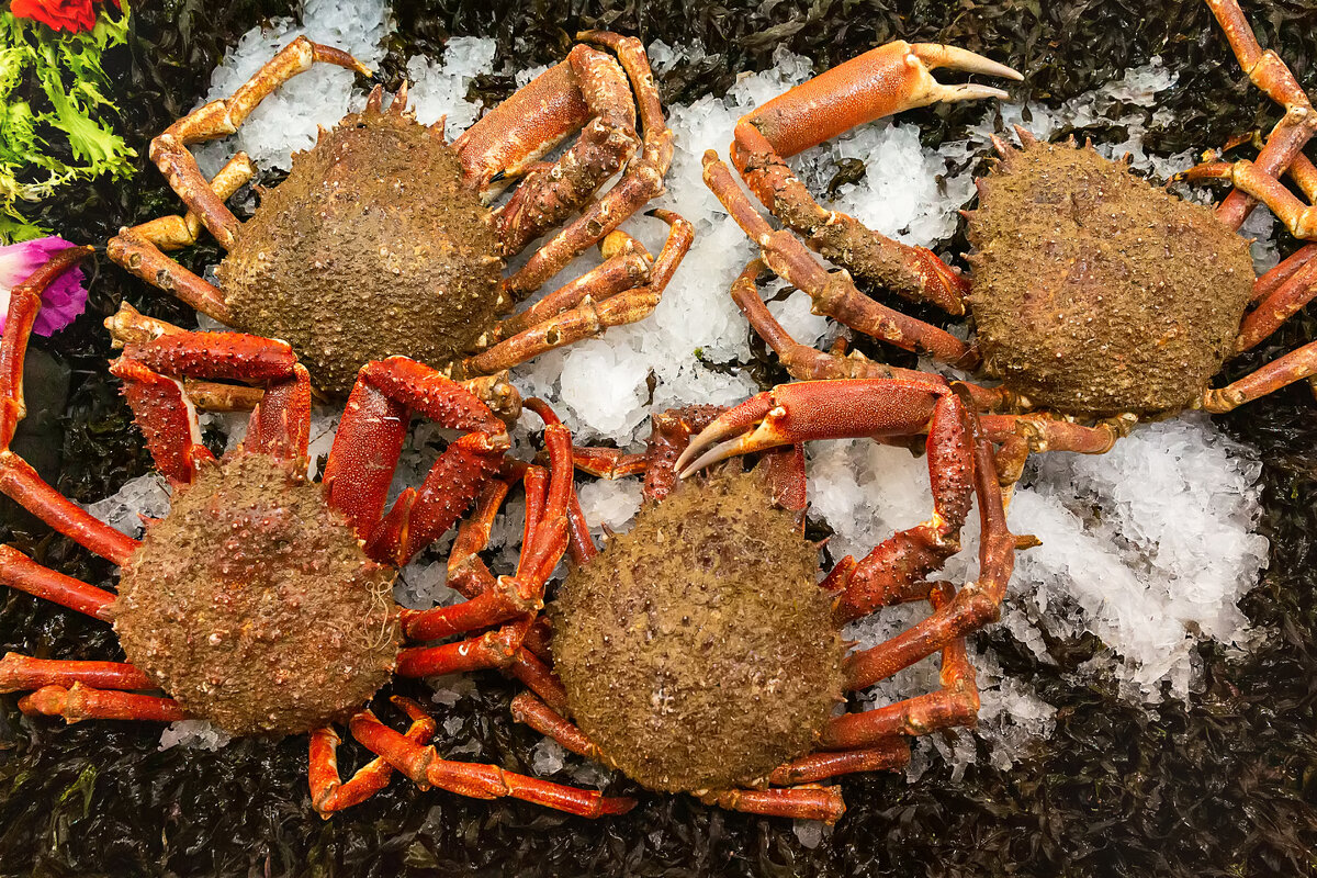 Крабы.
