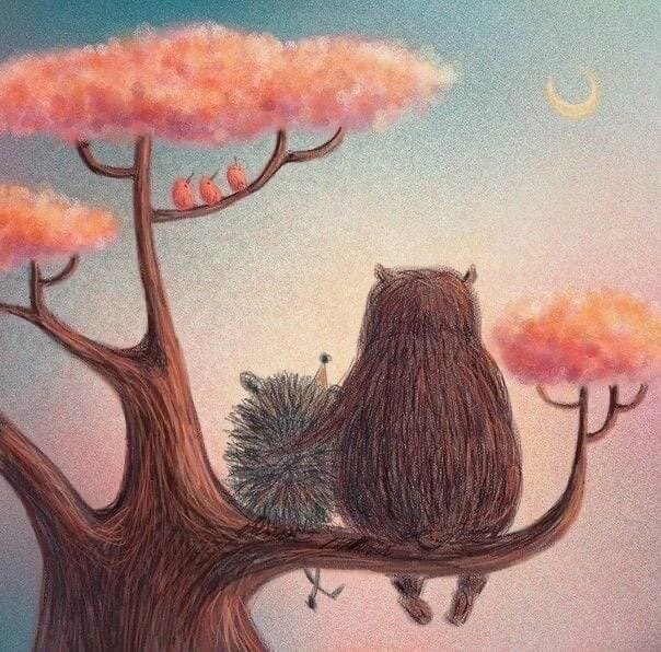 Фото из открытых источников