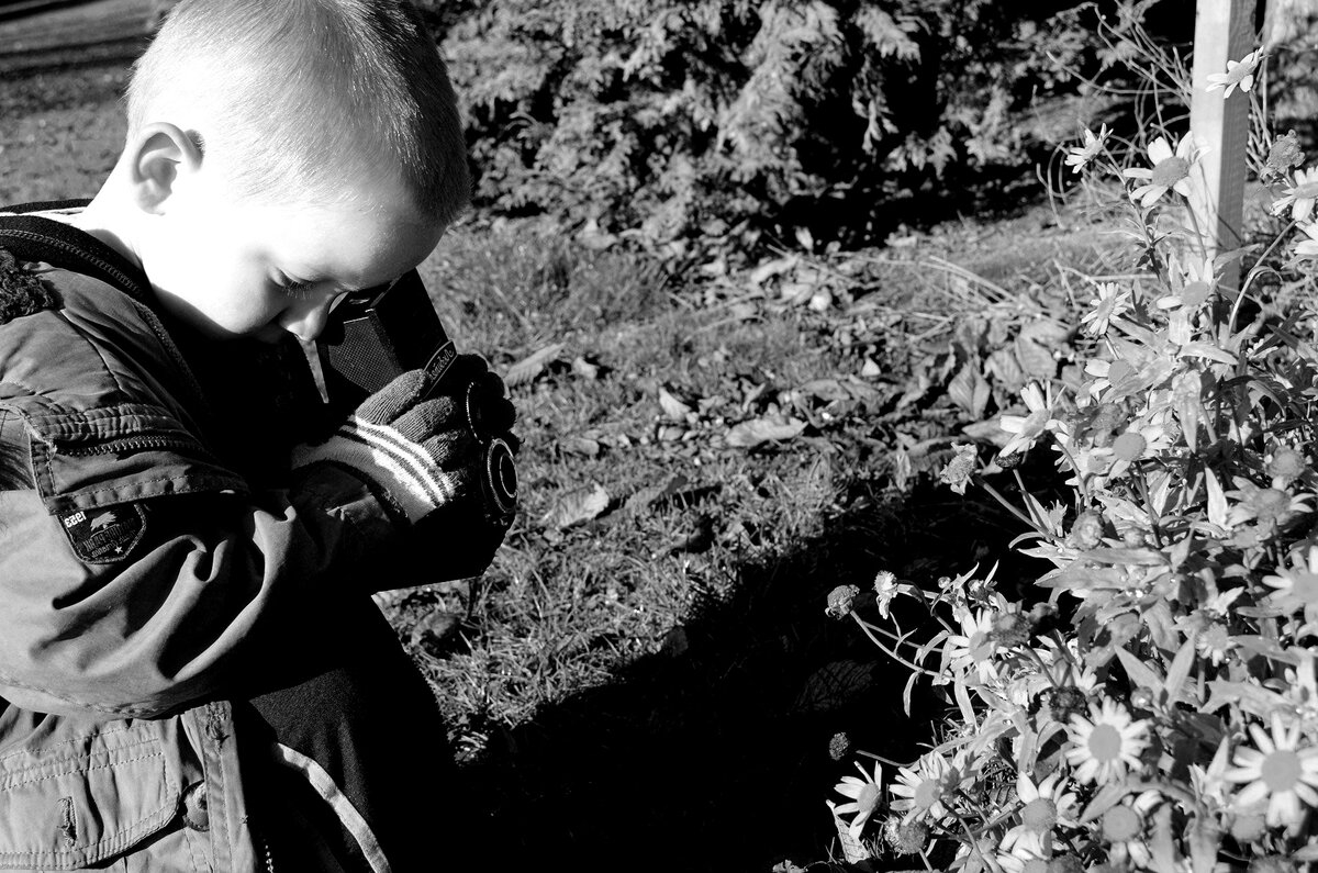 Фото: PublicDomainPictures