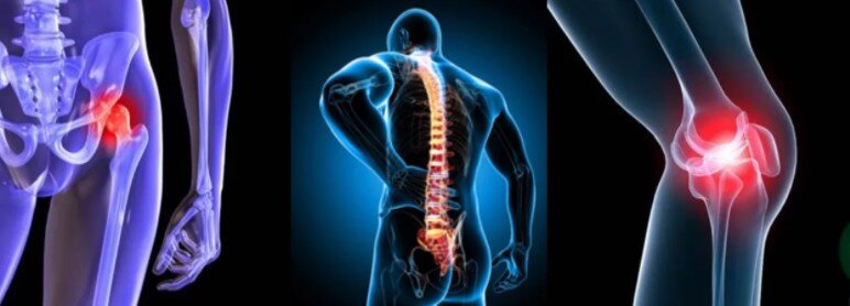 Виды соединения костей. Суставы