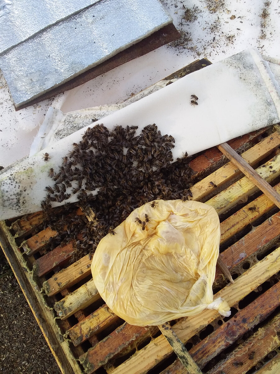 Медовая лепешка  в пакете