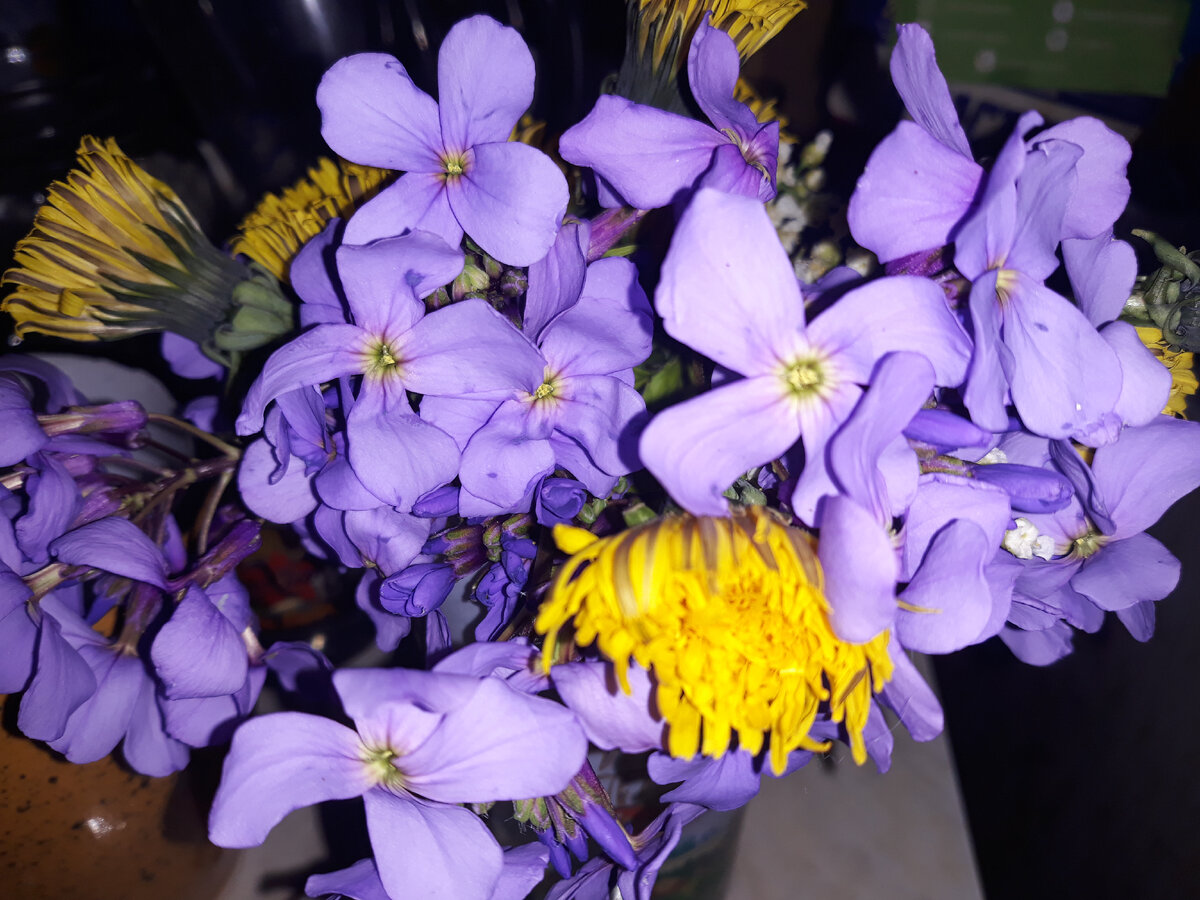 Сын букет вчера принес