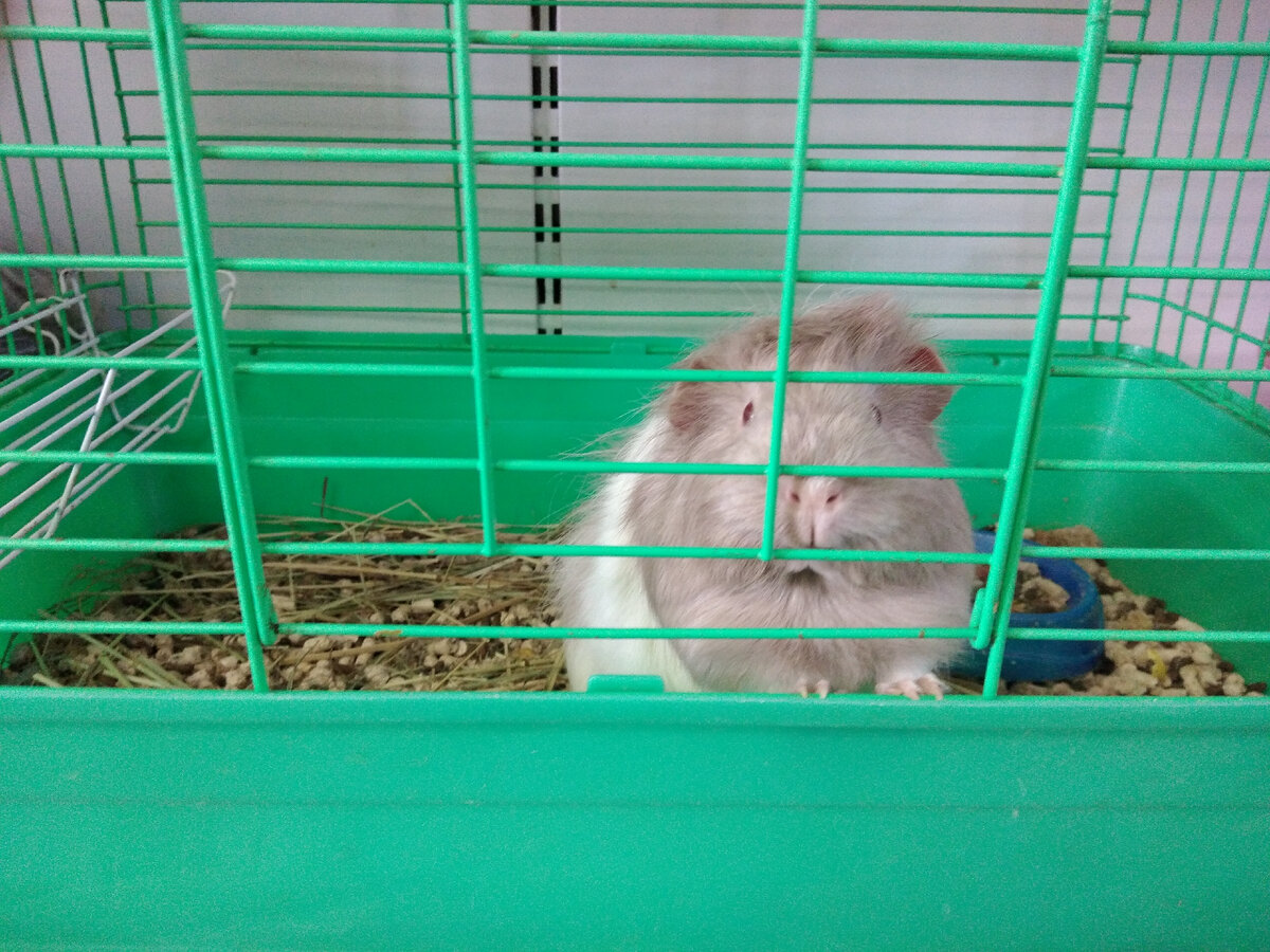 Фото автора. Листайте дальше.