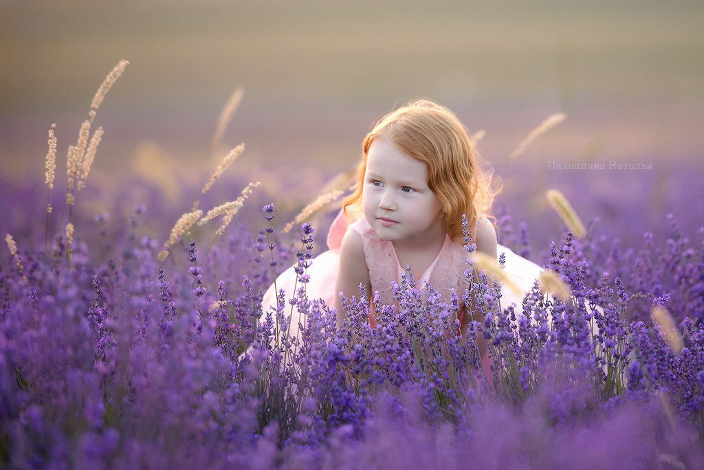 Фотосессия в лаванде. Крымский Прованс.  