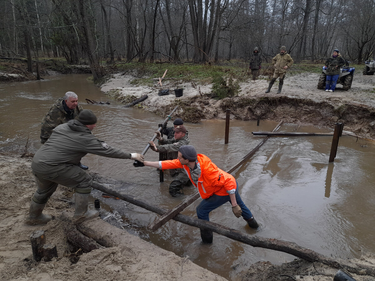 Засеки 1 час. Марш парков в заповеднике Калужские Засеки. Река Межиха. Калужские Засеки река дубенка. Пруд засека.