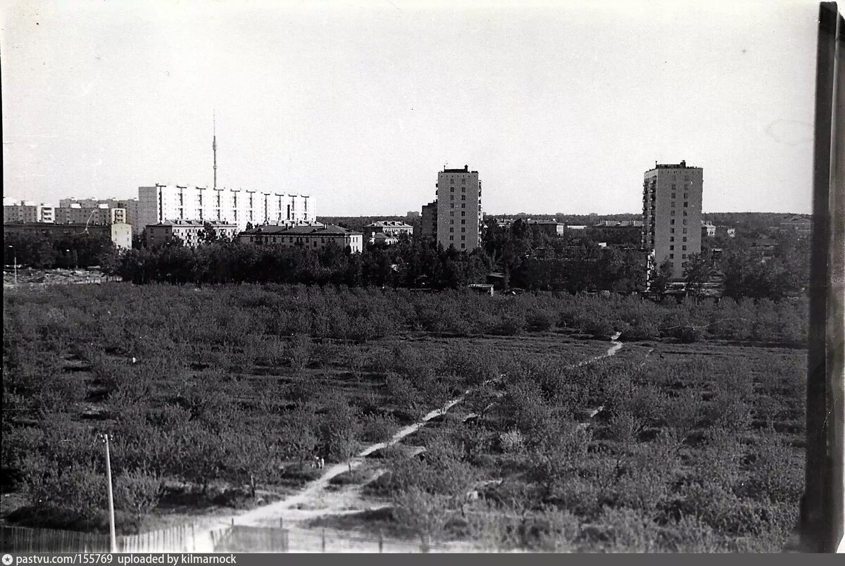 Район Отрадное 1980