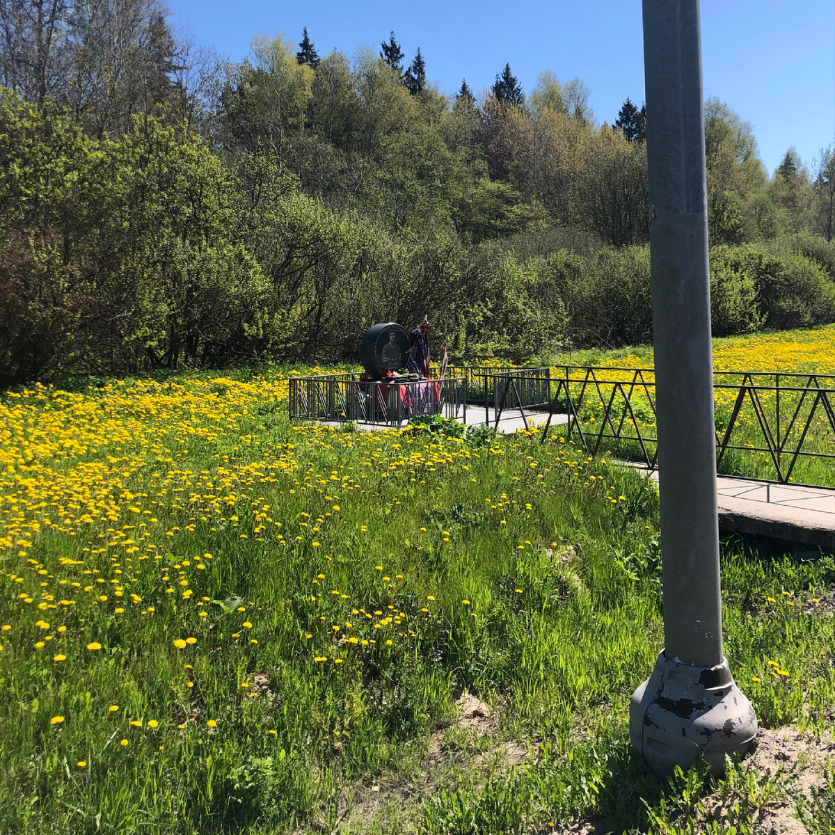 Место гибели хоккеиста на 74-м километре Ленинградского шоссе