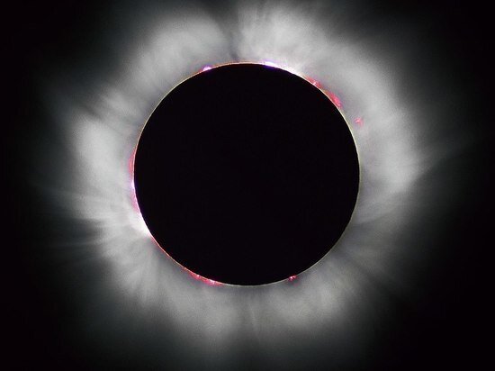     Фото Wikimedia.org