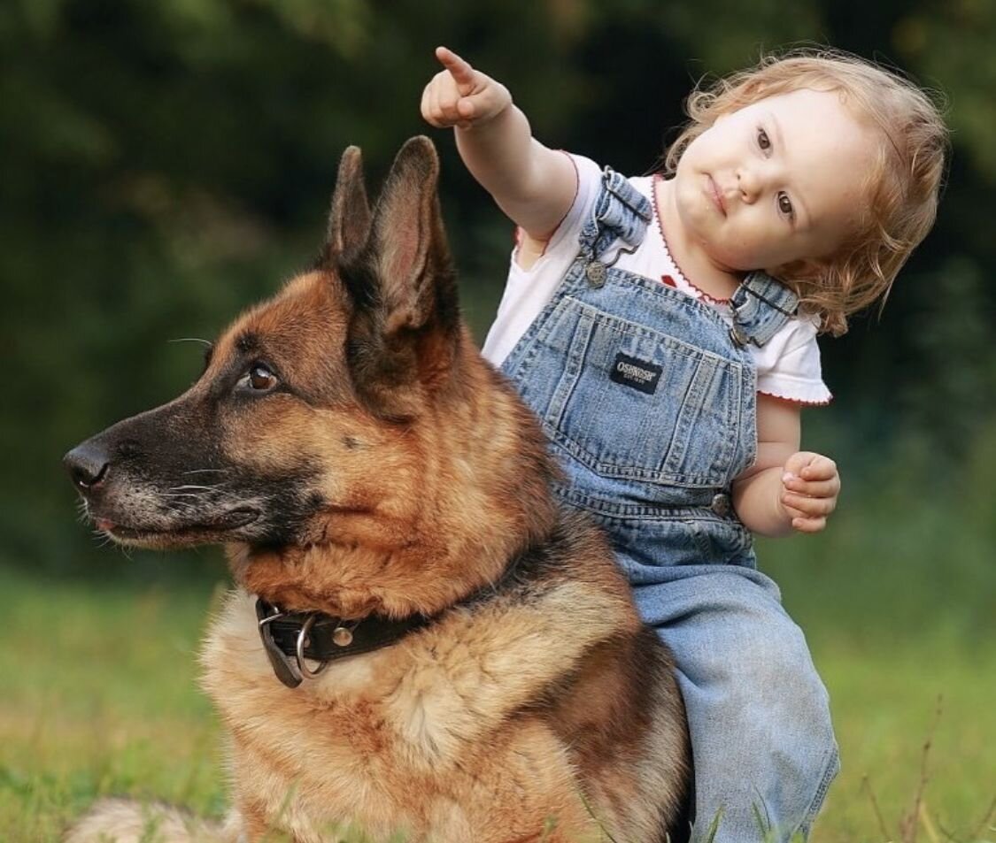 Из Яндекс картинок, в деревне точно была не овчарка