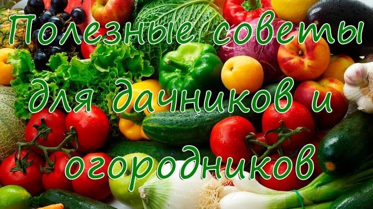 СОВЕТЫ ПРОВЕРЕННЫЕ ВРЕМЕНЕМ И ОПЫТОМ.