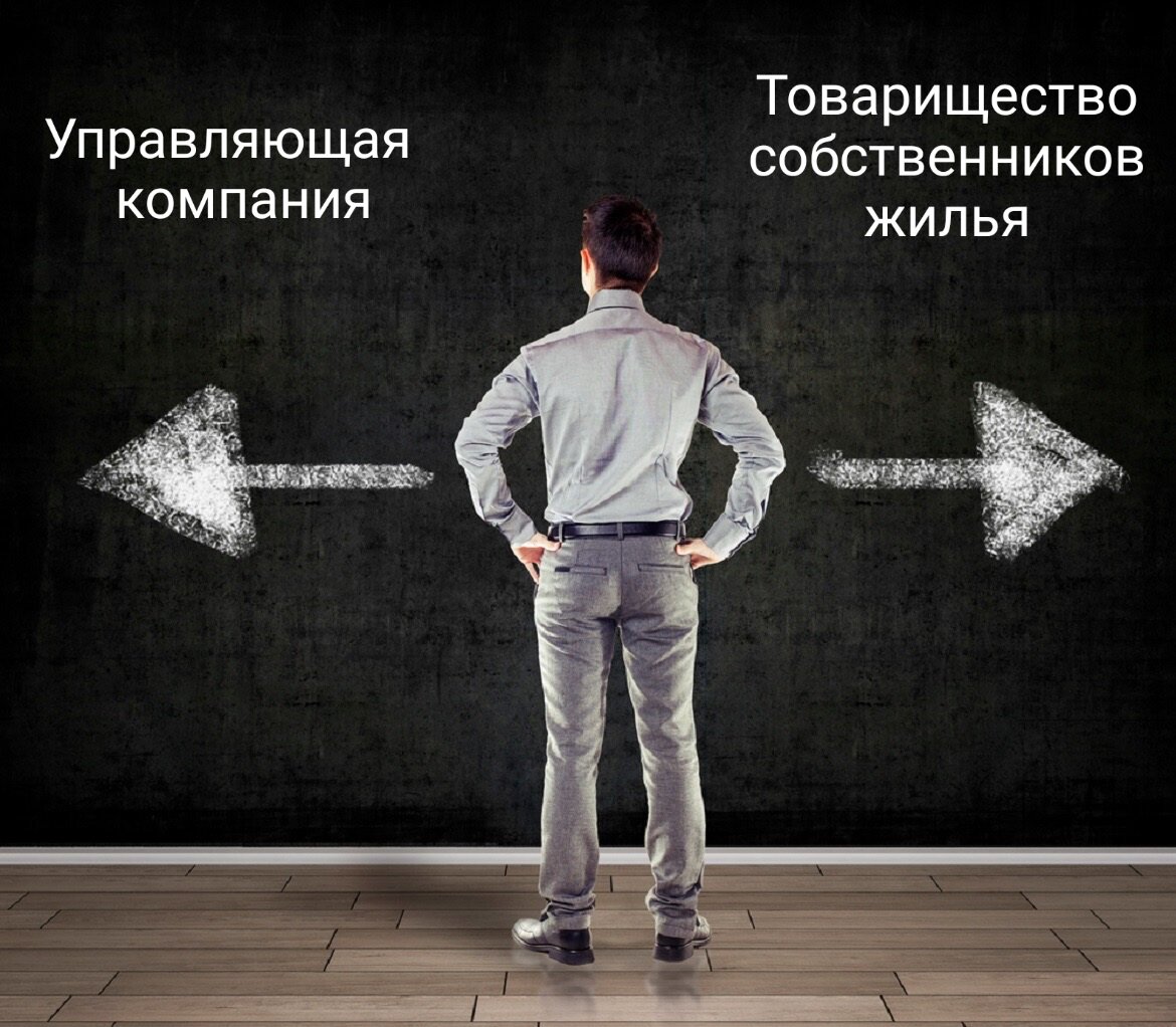 Фото взято из свободных источников интернет