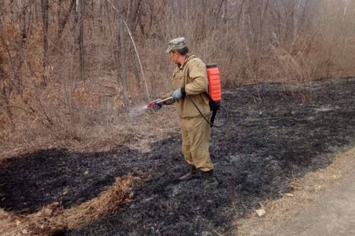    В Хабаровском крае за выходные 37 раз тушили палы травы