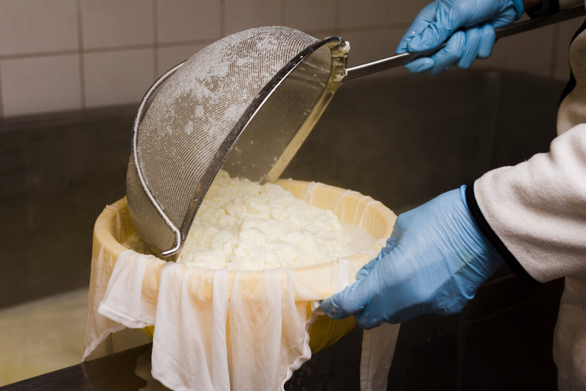 Готовый бизнес-план домашней сыроварни: как начать производство сыра с нуля и открыть свой мини-цех