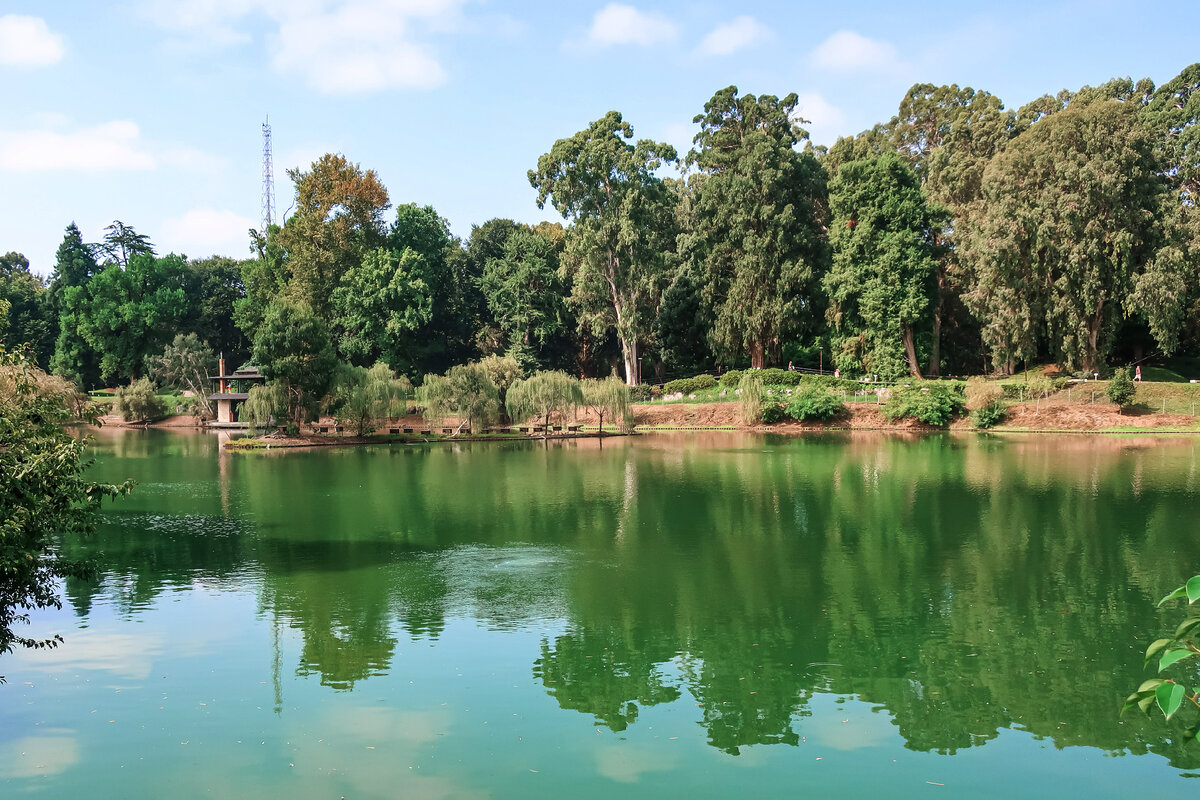 Живописное озеро в центре парка.