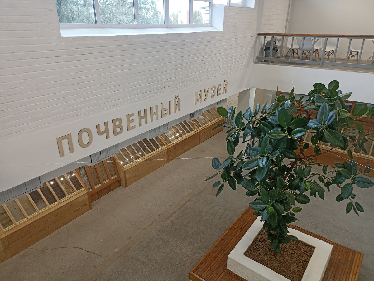 Вид на почвенный музей со 2 этажа 9 корпуса Санкт-Петербургского государственного аграрного университета