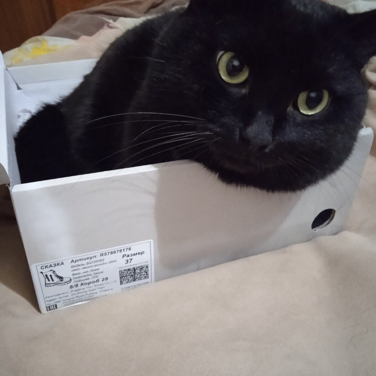 Фото автора 