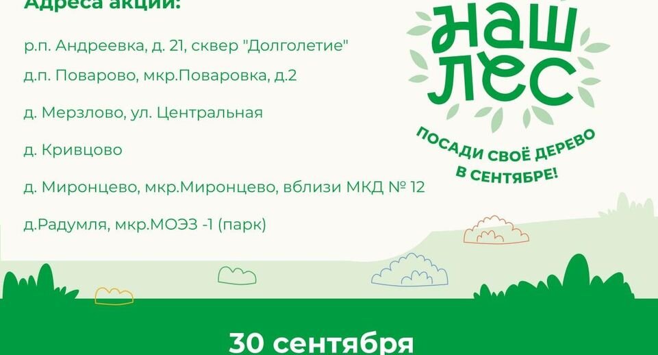 Пресс-служба администрации г.о. Солнечногорск📷

